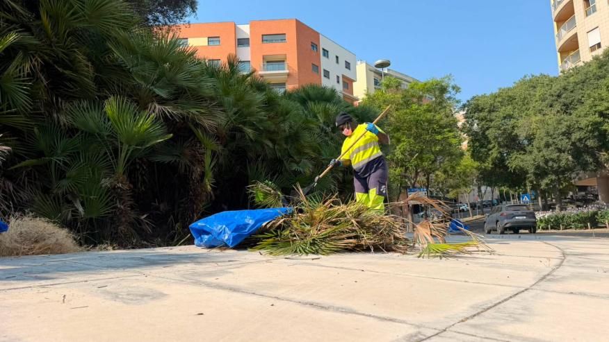 Limpeza de folhas secas na Rotunda das Oliveiras