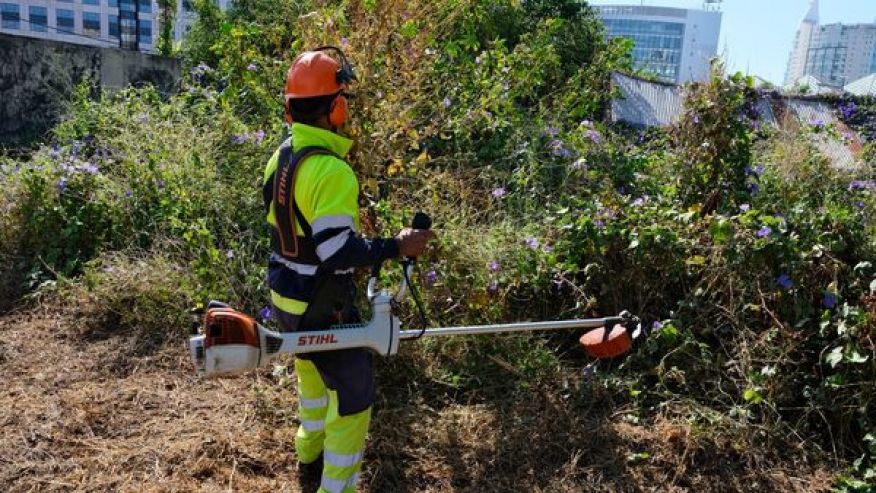 Deservagem e desmata&ccedil;&atilde;o na zona poente