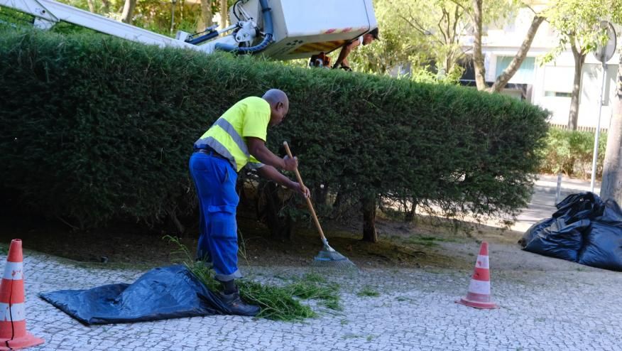 Limpeza e alinhamento de arbustos