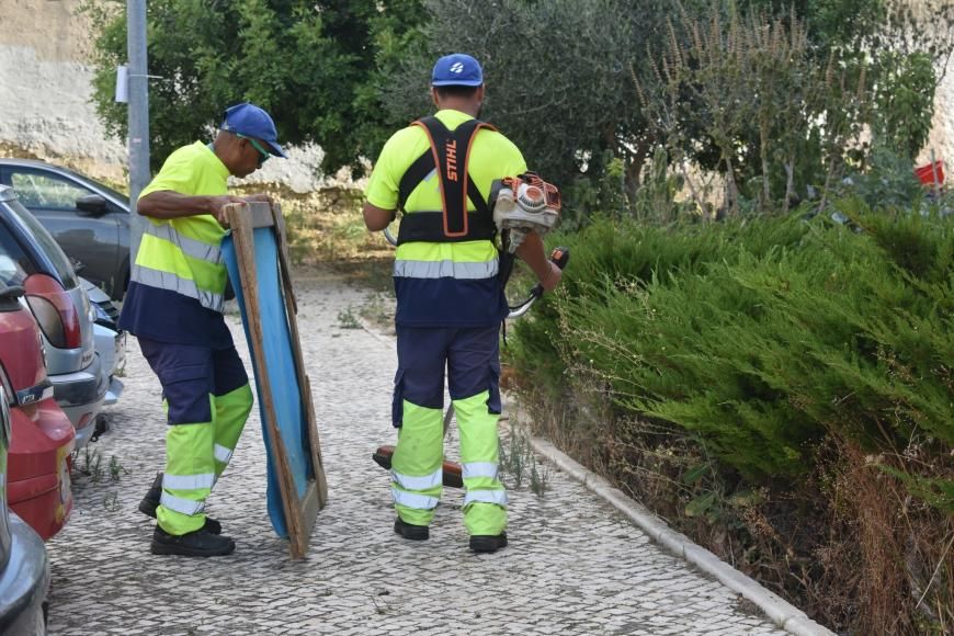 Deservagem e limpeza de canteiros na zona Poente