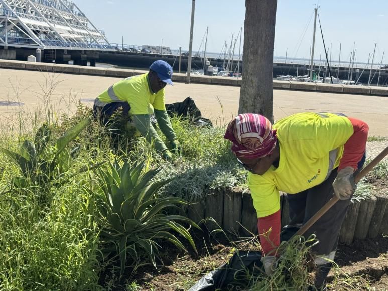 Jardinagem no passeio Neptuno