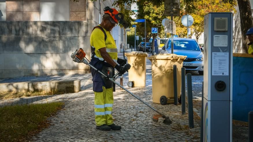 Deservagem e corte de relva na Zona Sul