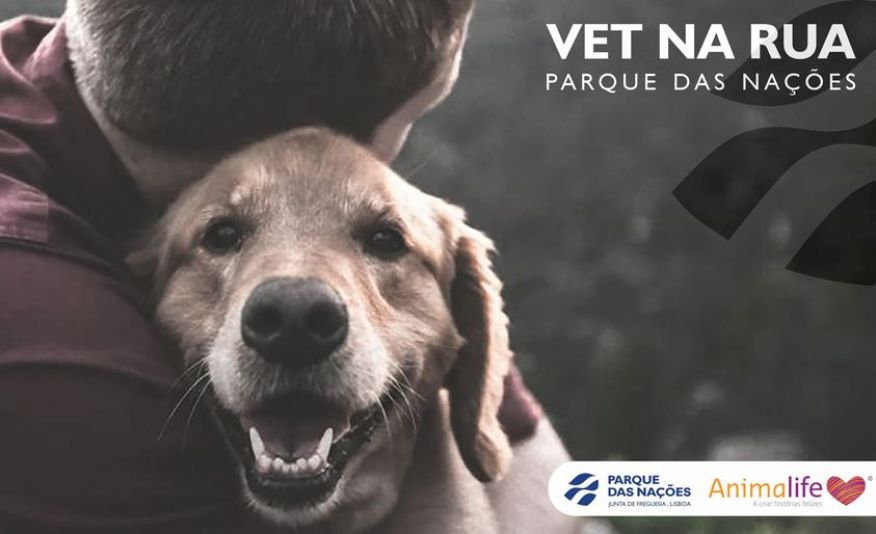 'Vet na Rua' duas vezes por m&ecirc;s no Parque das Na&ccedil;&otilde;es
