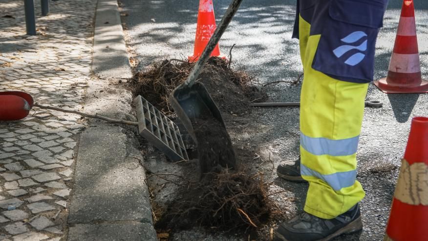 Limpeza de sumidouros