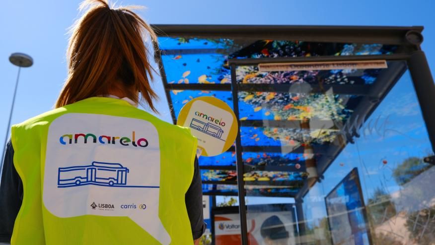 Transporte escolar 'Amarelo' de regresso