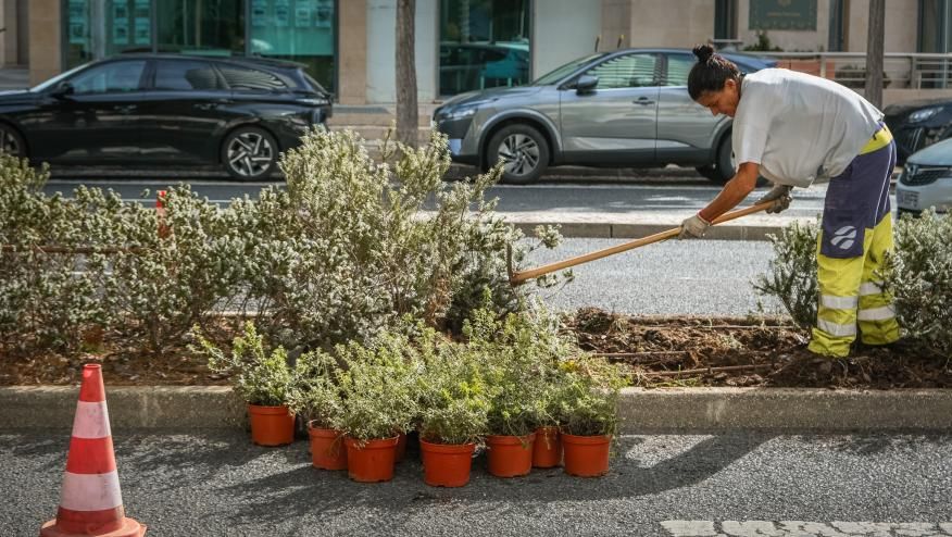 Avenida D Jo&atilde;o II