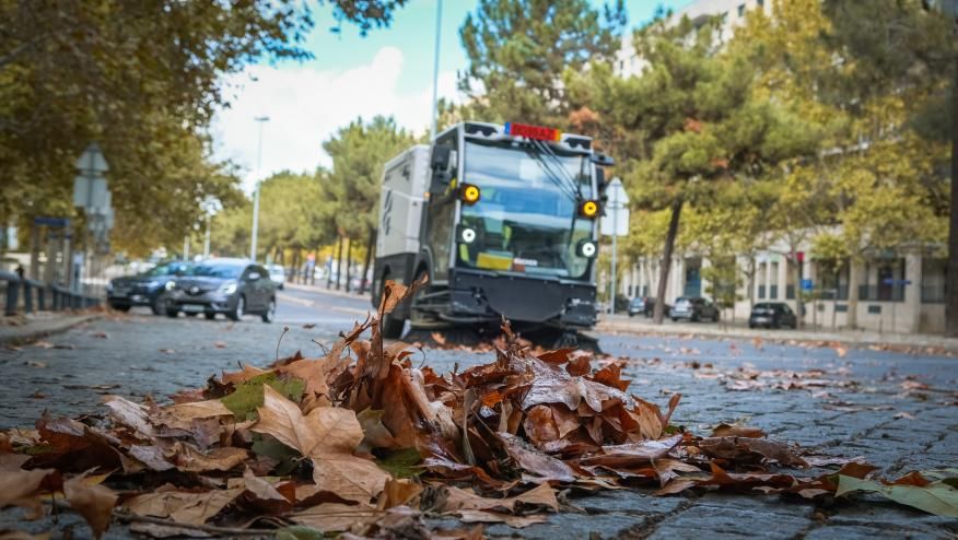 Limpeza e recolha de folhas