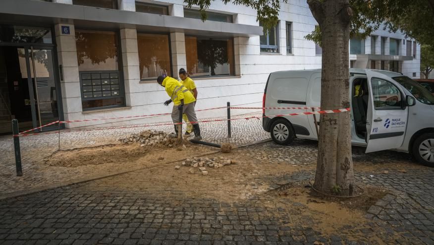Repara&ccedil;&atilde;o na rede de rega
