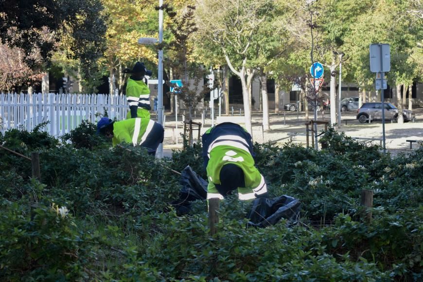 Limpeza de canteiros e deservagem