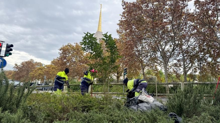Varredora em a&ccedil;&atilde;o e limpeza de canteiros