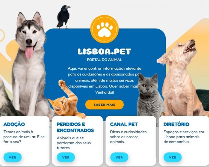 Lisboa.Pet: primeiro portal dedicado aos animais