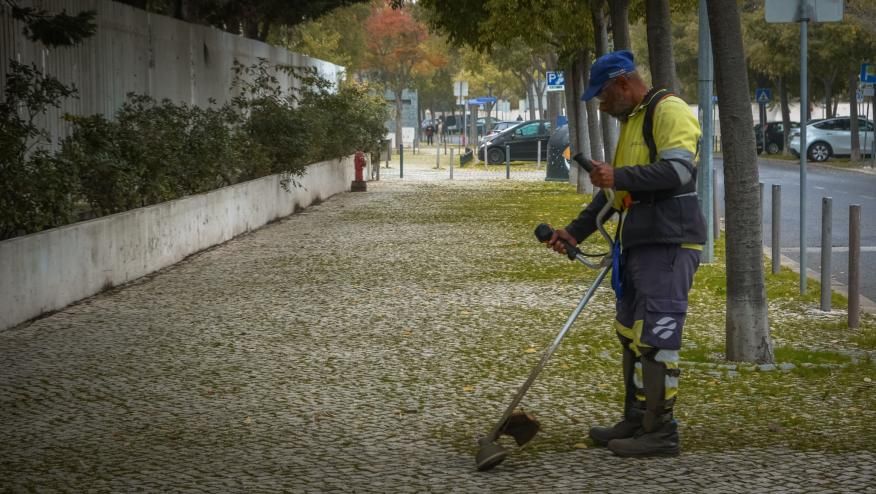 Deservagem na Rua Ilha dos Amores