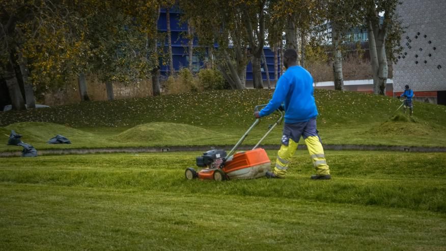 Corte de relva do Jardim das Ondas
