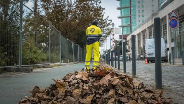 Recolha de folhas na Alameda dos Oceanos