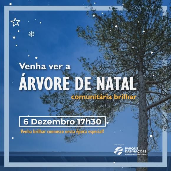 &Aacute;rvore de Natal comunit&aacute;ria nas Laranjeiras