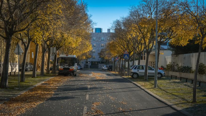Varredora na Rua da Ilha dos Amores