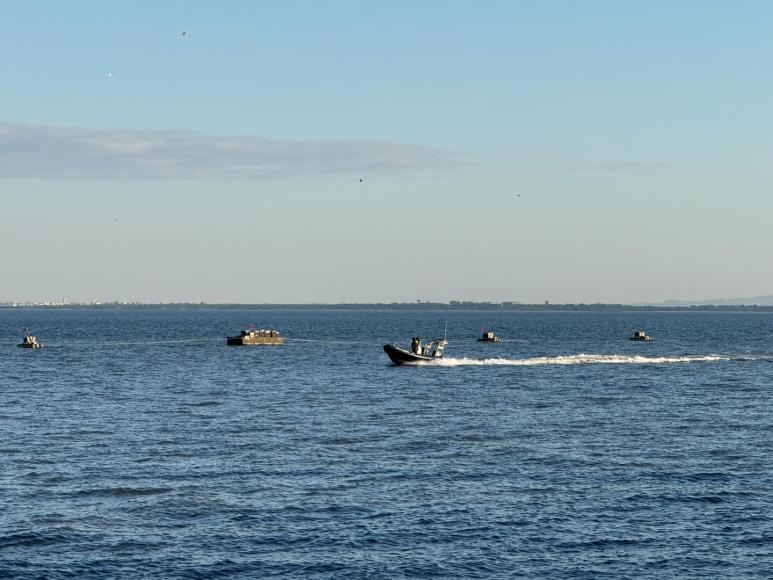 Fogo de Artif&iacute;cio 2024-25