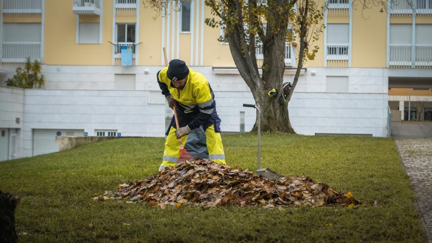 Manuten&ccedil;&atilde;o e limpeza de folhas
