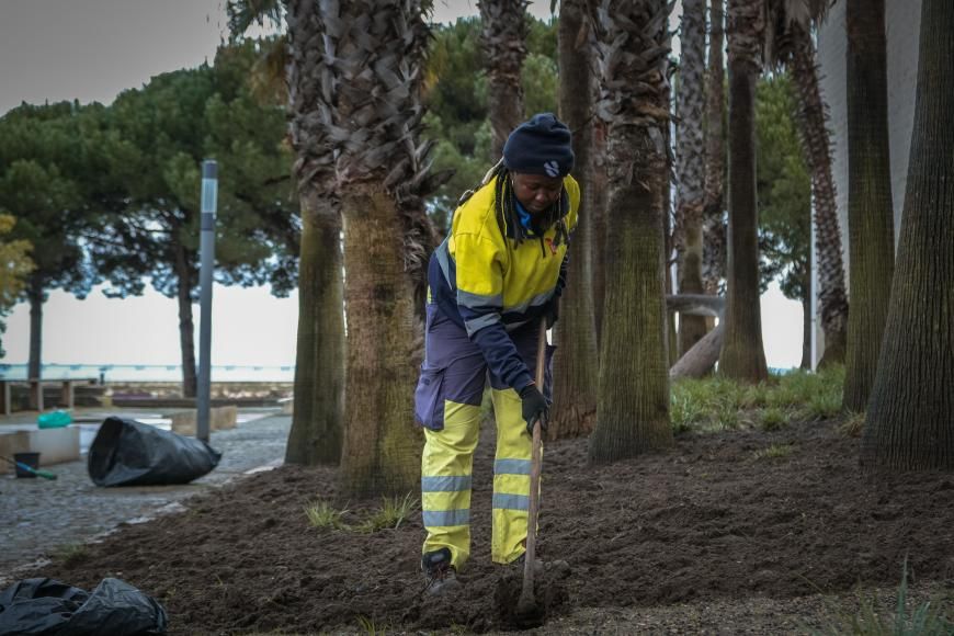 Manuten&ccedil;&atilde;o de Canteiros