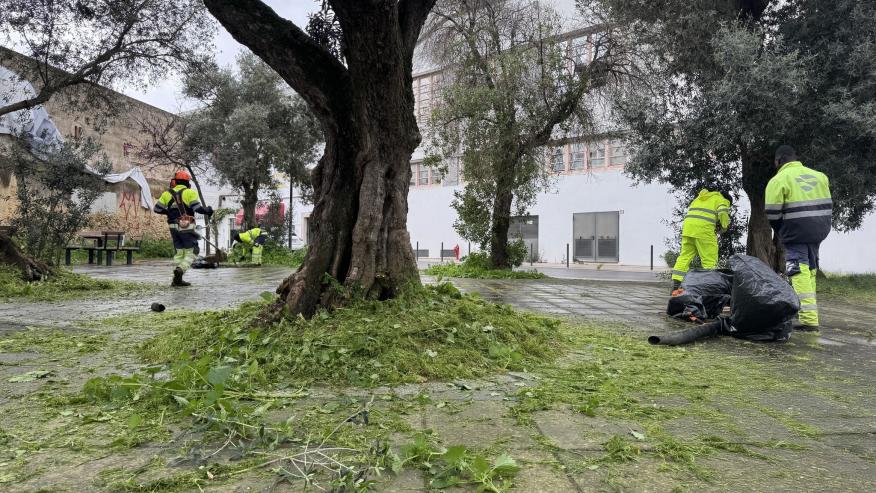 Deservagem na Rua da Centieira