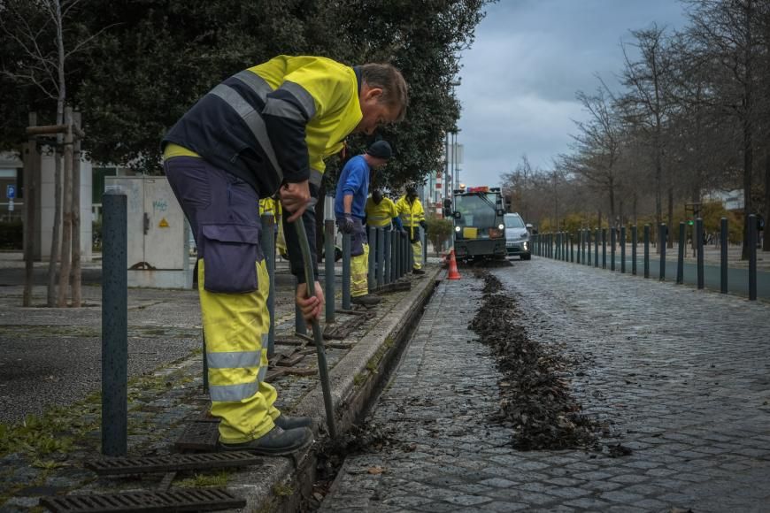 Continua&ccedil;&atilde;o da limpeza de caleiras e manuten&ccedil;&atilde;o de canteiros