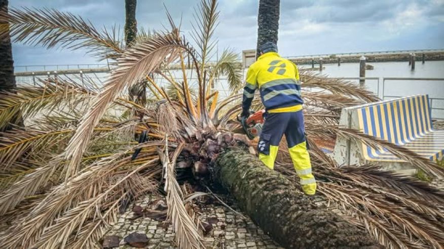 Limpeza do espa&ccedil;o p&uacute;blico ap&oacute;s o temporal