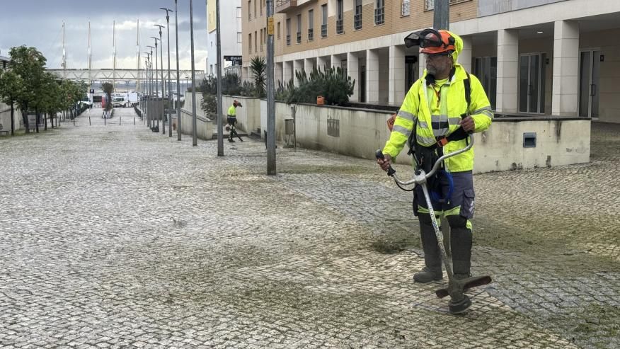 Limpeza e deservagem na zona Sul