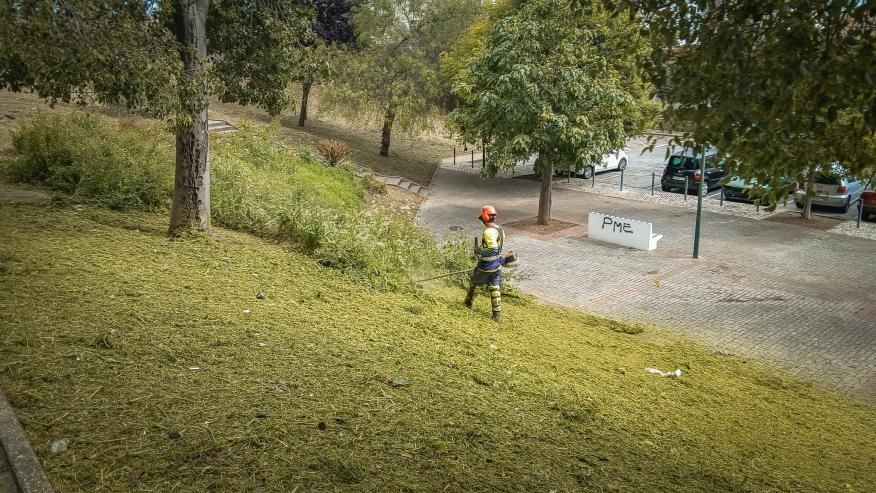Desmata&ccedil;&atilde;o na Rua C&acirc;mara Reis