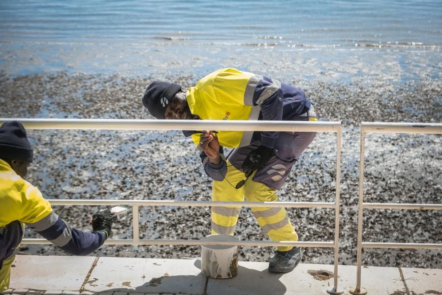 Pinturas veda&ccedil;&otilde;es frente Ribeirinha