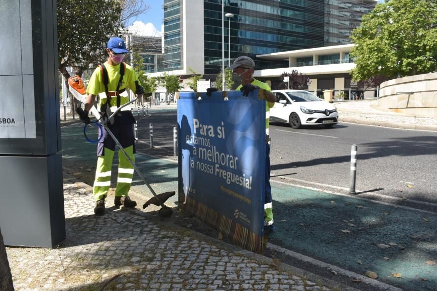 Renova&ccedil;&atilde;o de planta&ccedil;&otilde;es em floreiras