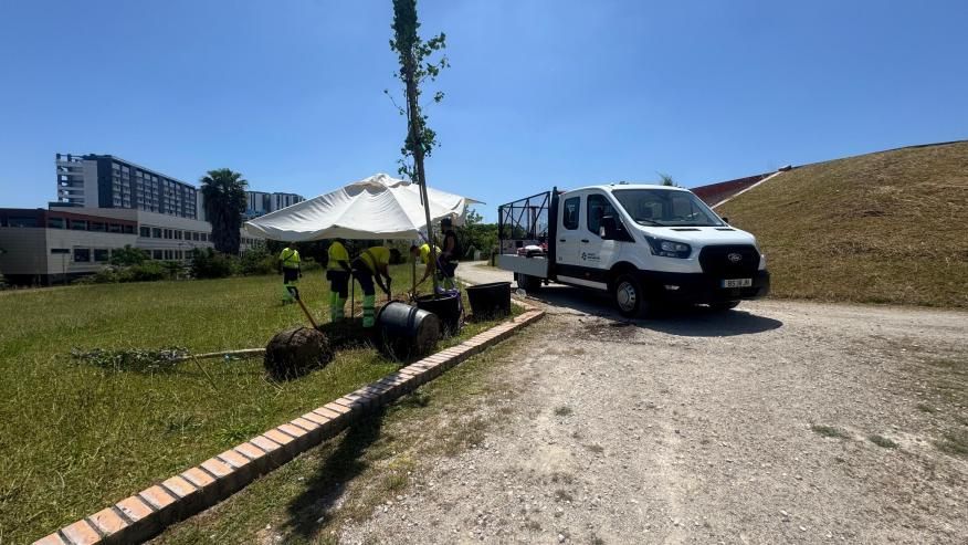 Cabe&ccedil;o das Rolas