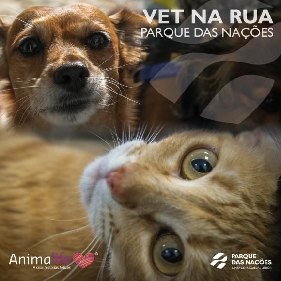 "Vet na Rua" no Parque das Na&ccedil;&otilde;es