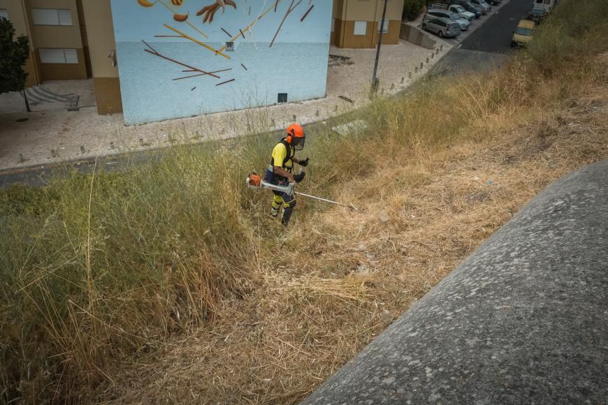Desmata&ccedil;&atilde;o no Bairro do Oriente