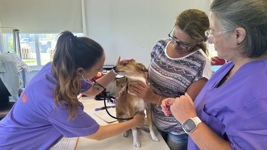 &ldquo;Vet na Rua&rdquo; recebeu pets da freguesia