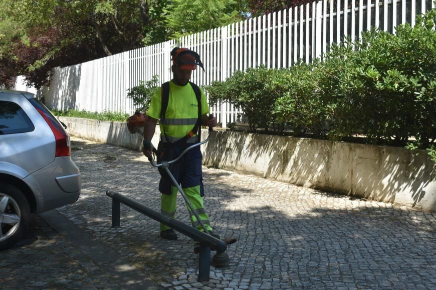 Deservagem na Ilha dos Amores