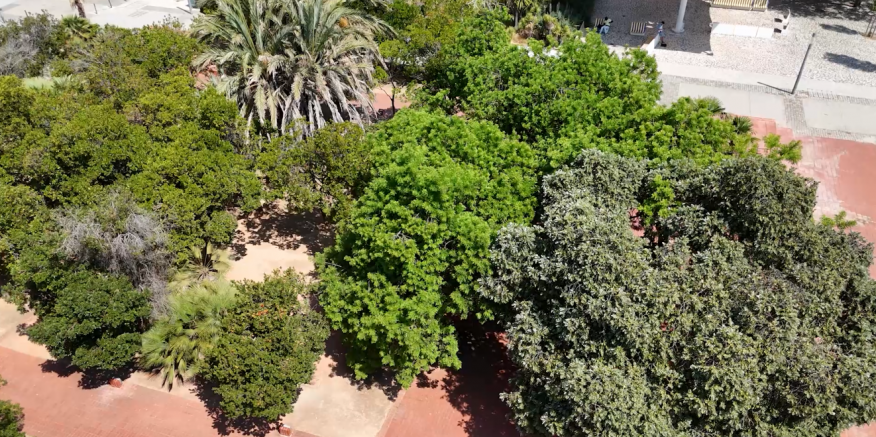 Junta de Freguesia Requalifica Muretes dos Jardins da &Aacute;gua