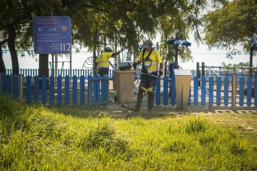 Deservagem no Cais do Olival