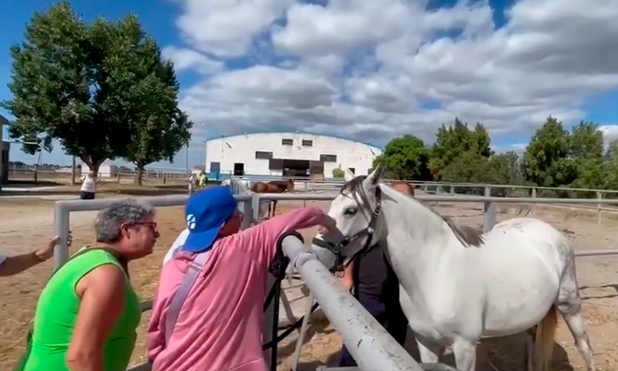 &ldquo;Praia Campo S&eacute;nior&rdquo; reuniu 100 fregueses em 2025