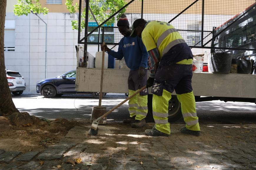 Recuperação de caldeiras das árvores na Rua das Musas