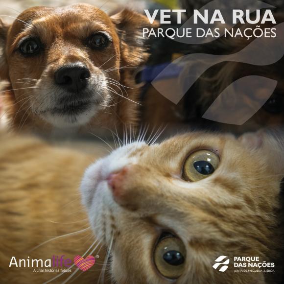 "Vet na Rua" no Parque das Nações "Vet na Rua" no Parque das Nações