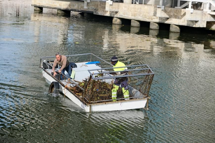 Limpeza da Doca em reportagem