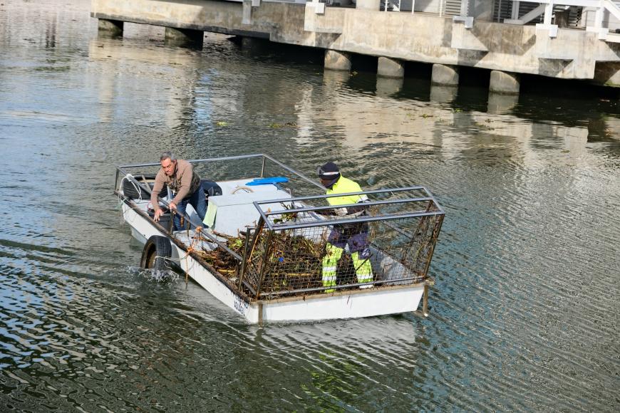 Limpeza da Doca em reportagem Limpeza da Doca em reportagem