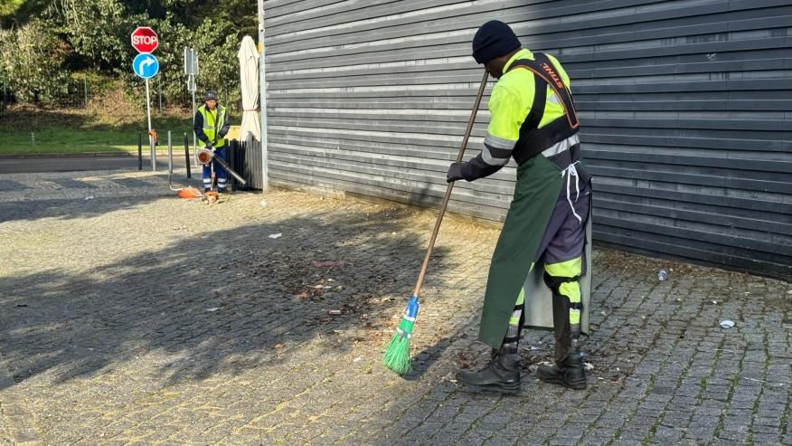 Limpeza e deservagem de passeios