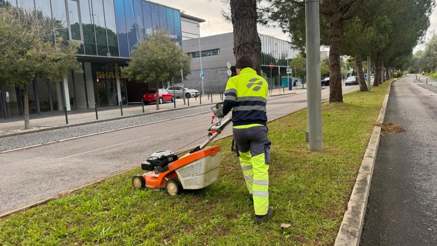 Trabalhos de jardinagem na Via do Oriente