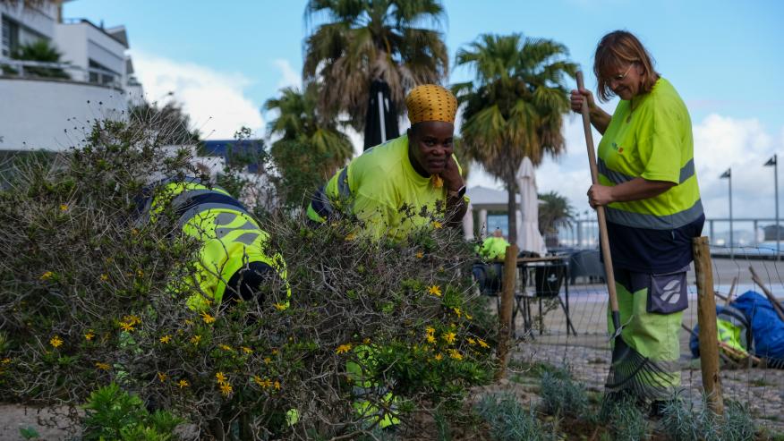 Planta&ccedil;&atilde;o no Passeio de Neptuno