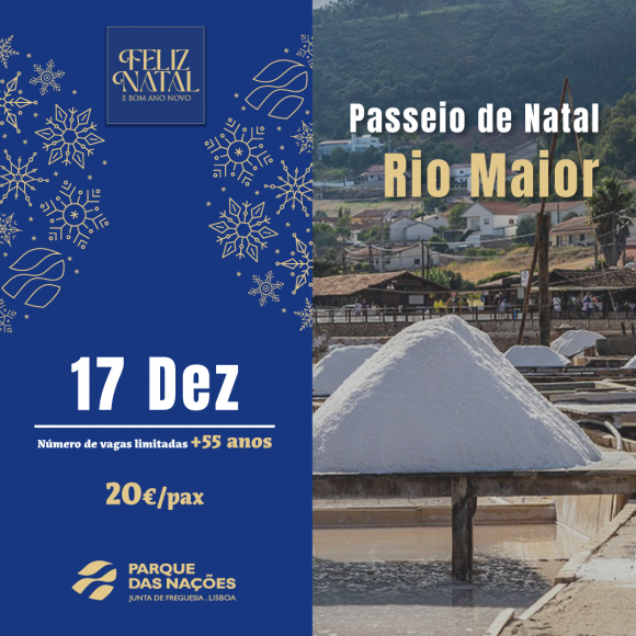 Passeio de Natal aos pres&eacute;pios de sal em Rio Maior