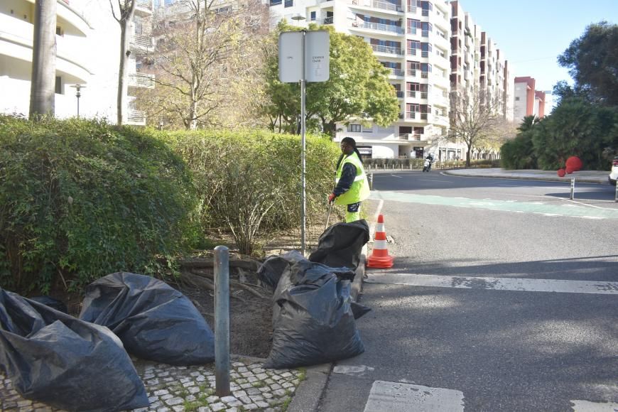 Limpeza de canteiros