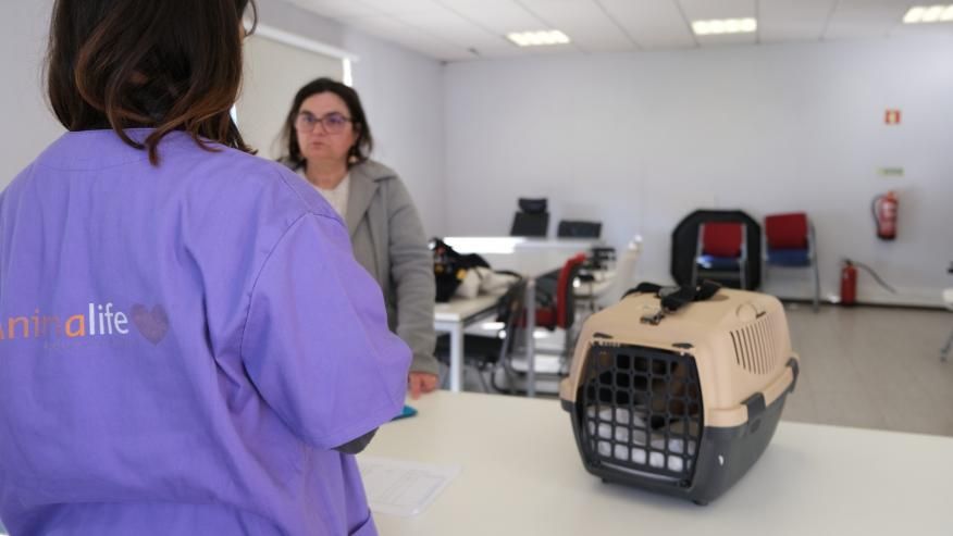 C&atilde;es e gatos no &ldquo;Vet na Rua&rdquo;