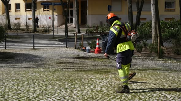Jardinagem na Av. Peregrina&ccedil;&atilde;o