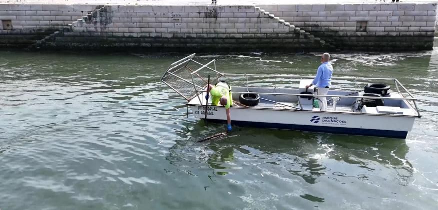 Limpeza na Doca dos Olivais